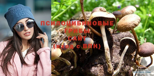 мет Пересвет