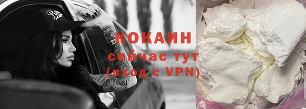 соль ск Пестово