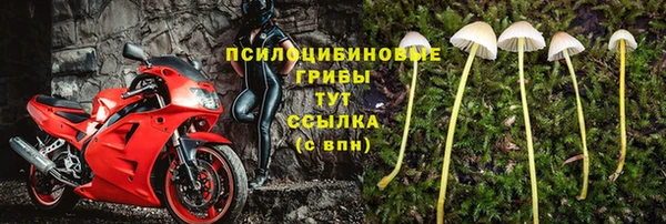 соль ск Пестово